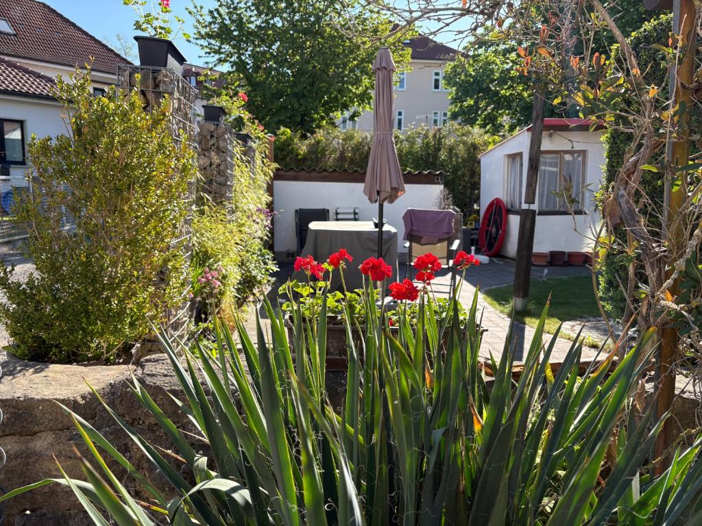 Garten des Haus Hannah mit roten Blüten und Sitzbereich